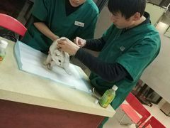 -艾贝尔宠物诊疗