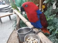 -南宫五洲植物乐园