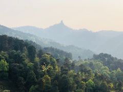 -南山植物园
