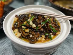 -丁老爷子苏香圆