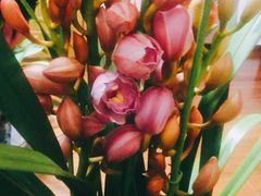 -红宝石·鲜奶小方·海派西点房(控江店)