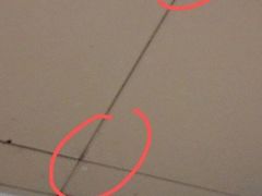 -佛山祈福仙湖酒店