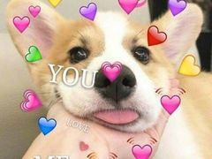 -韩国利尔面包(桂林路店)