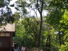 -子昂故里文化旅游区