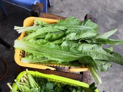 -章记正宗南岗鱼蛋火锅