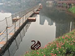 -重庆彩云湖湿地公园