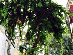 -ALBERGUE 1601 婆仔屋葡国餐厅