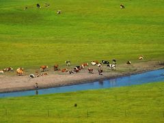 -莫日格勒旅游景区