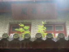 -兰剑驾校(汉阳校区)