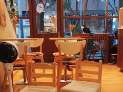 -C.Y Cafe