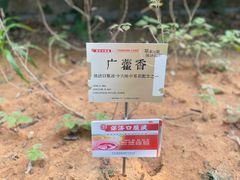 -广州神农草堂中医药博物馆