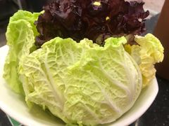 -老诚一锅·羊蝎子(广渠门外店)