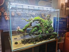 -东莞塘厦三正半山温泉酒店·沙利文西餐厅
