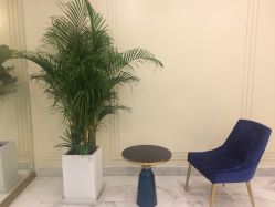 -3AM HAIR SALON染发接发