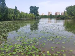 -香山公园