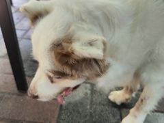 -豆舞咖啡(民乐路店)