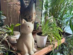 -同仁四季椰子鸡(车公庙店)