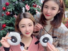 -Seesaw Coffee(上生新所店)