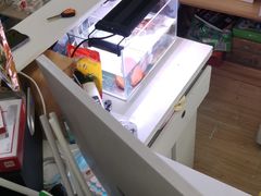 -三个先森的韩国炸鸡(晨兴花园店)