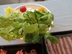 -诺莱仕游艇会