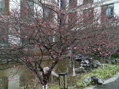 -太湖湾开元名庭大酒店