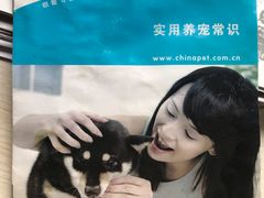 -北京观赏动物医院·24小时大型综合·猫专科·异宠专科