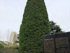 -宋庆龄陵园