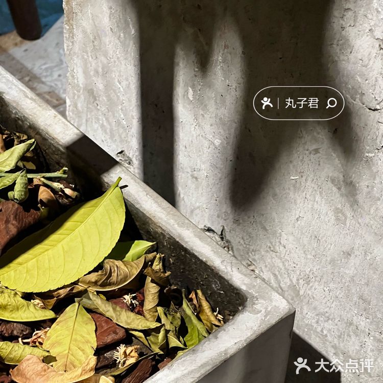 三位小姐姐和一位泰国厨师的Thai bistro可爱又可口