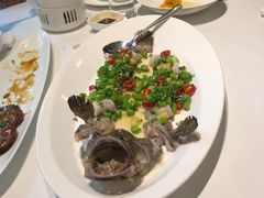 -翠府(翠湖北路店)