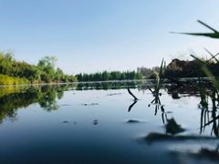 -白鹭湾湿地公园