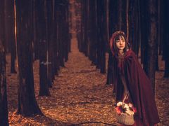 -铁山坪森林公园