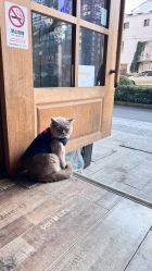 -青木造型HAIR·あおき髪を刈る潮人店