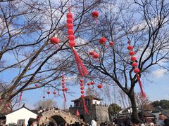 -枫桥景区