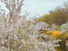 -元大都城垣遗址公园