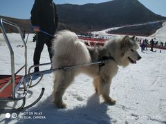 -玉龙湾滑雪场
