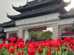 -苏州上方山国家森林公园