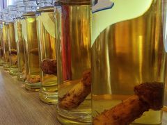 菌子泡酒-鲜菌江湖正宗野生菌火锅