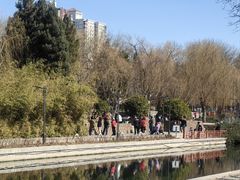 -元大都城垣遗址公园