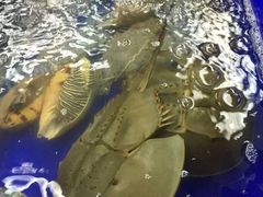 -班赞海鲜市场