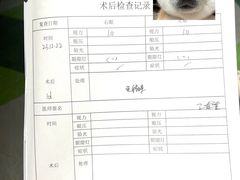 -黑马眼科·近视手术