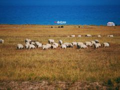 -青海湖国家重点风景名胜区