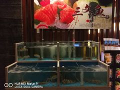 水产区-沈阳国际皇冠假日酒店-Izakaya居日餐厅