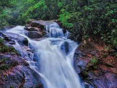 -九龙江国家森林公园