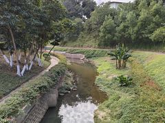 -广东金融学院(校本部)