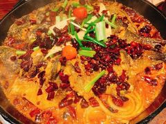 -老板恋上鱼(高新万达店)