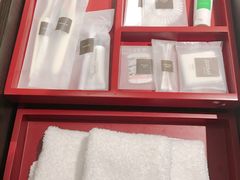 -新加坡瑞士史丹福酒店