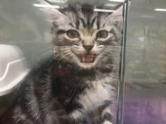 -乐宠宠物店(世纪金源店)