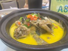 -椿记烧鹅(叠彩店)