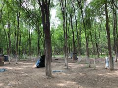 -亲兄弟真人CS团建拓展基地