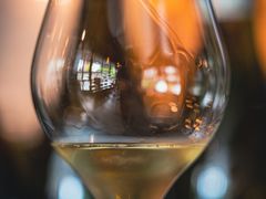 -Wine Universe 宇宙酒馆
